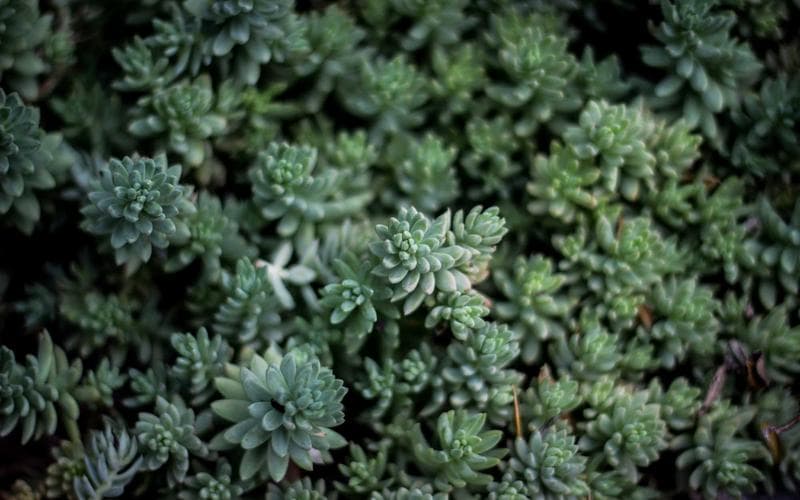 Are Your SEO Keywords Driving Decisions, or Just Traffic?