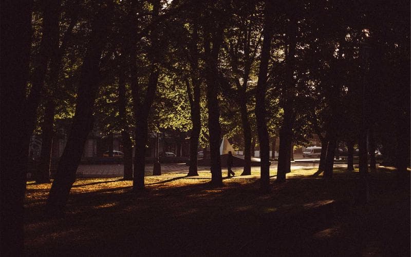 How to Choose a Website Platform That Won't Break Your OS