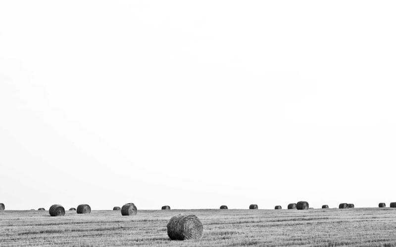 Why Your KPIs Are Lying to You