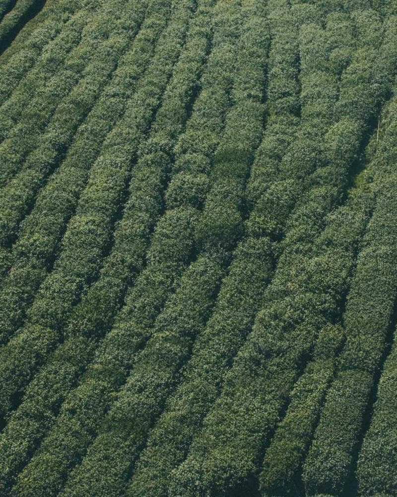 Nick Lord — Creator of SOVEREIGN OS™